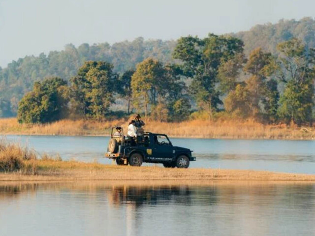 Safari Experience